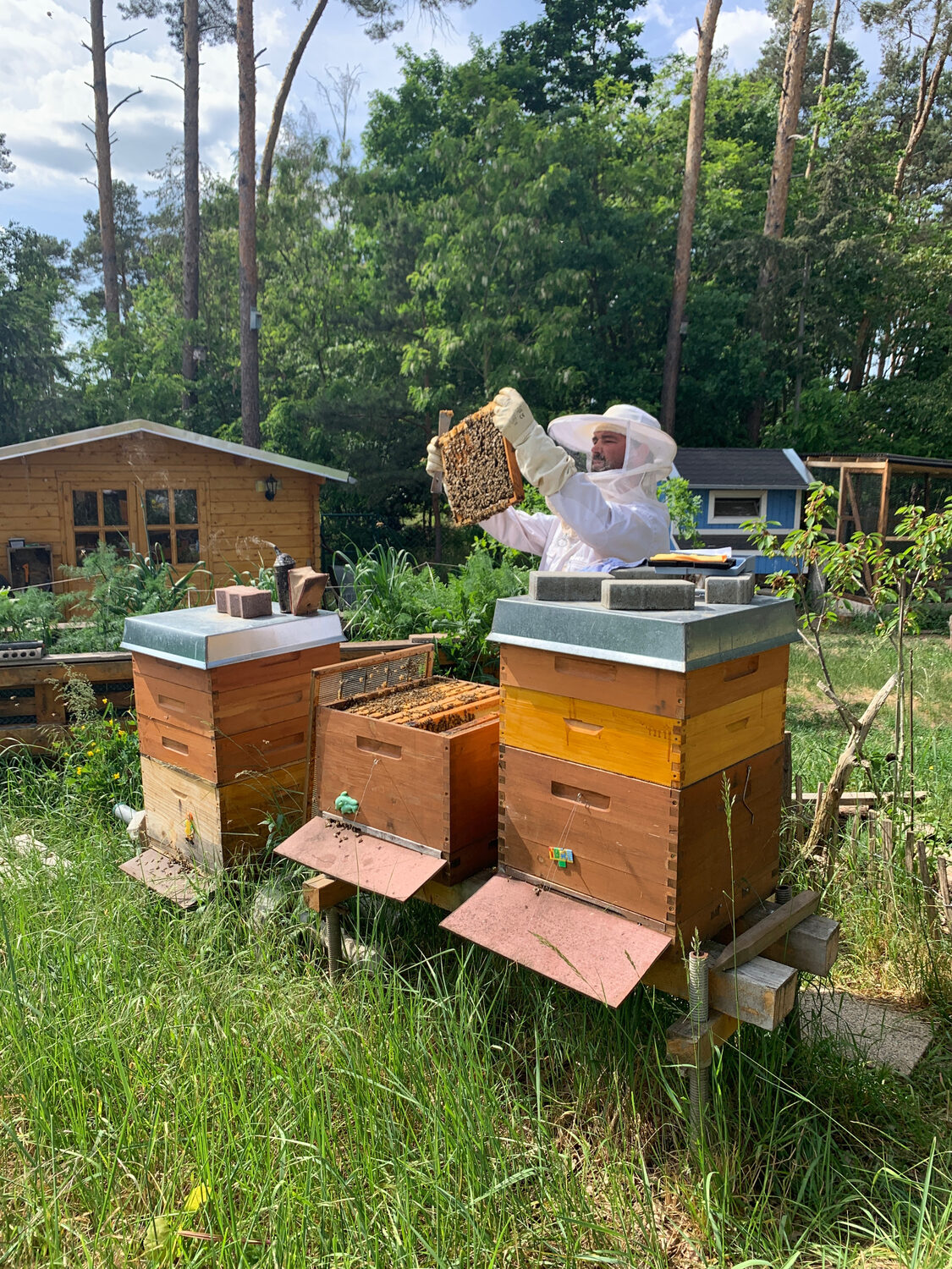 Unsere Bienenbeuten im Garten bei der Imkerarbeit